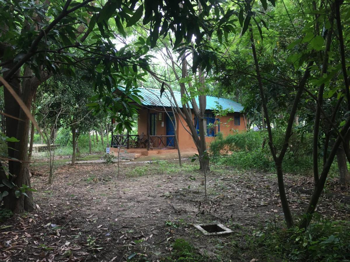 Camp Hornbill Corbett Otel Ramnagar  Dış mekan fotoğraf
