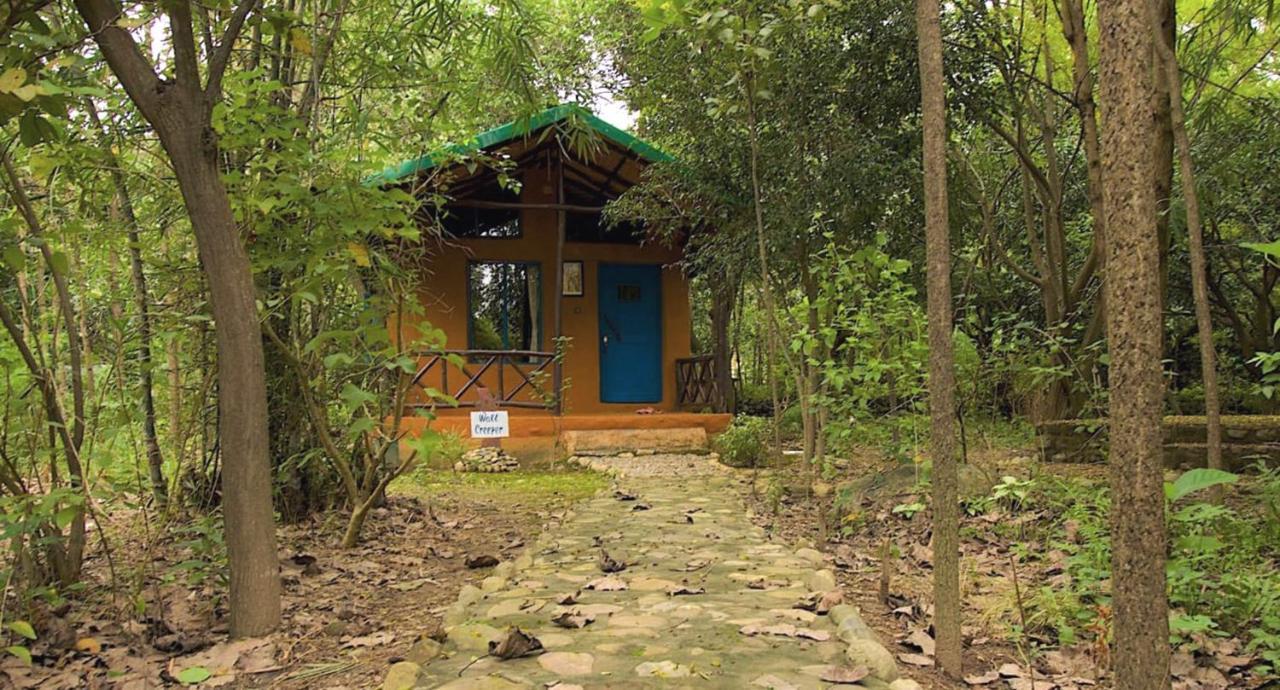 Camp Hornbill Corbett Otel Ramnagar  Dış mekan fotoğraf